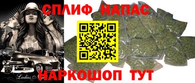гашик Камышлов