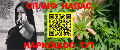 гашик Камышлов