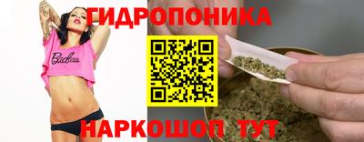 гашик Камышлов