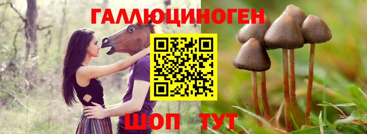 Галлюциногенные грибы прущие грибы  Вход с VPN  Краснодар 